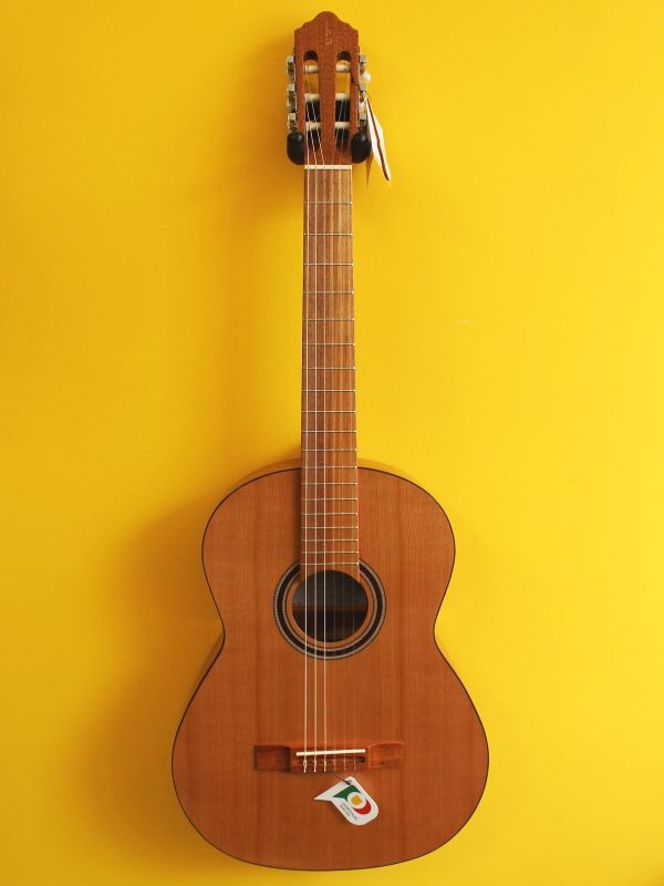 APC 1C Classical Guitar